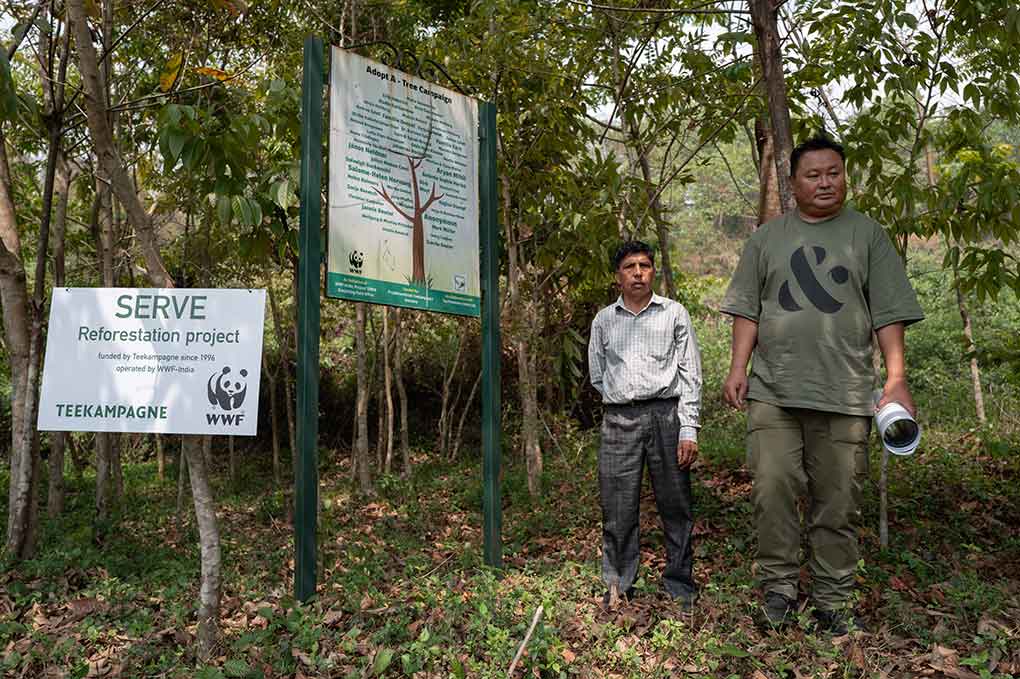 Wiederaufforstung in Darjeeling mit SERVE